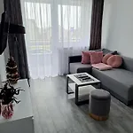 Pudrowy